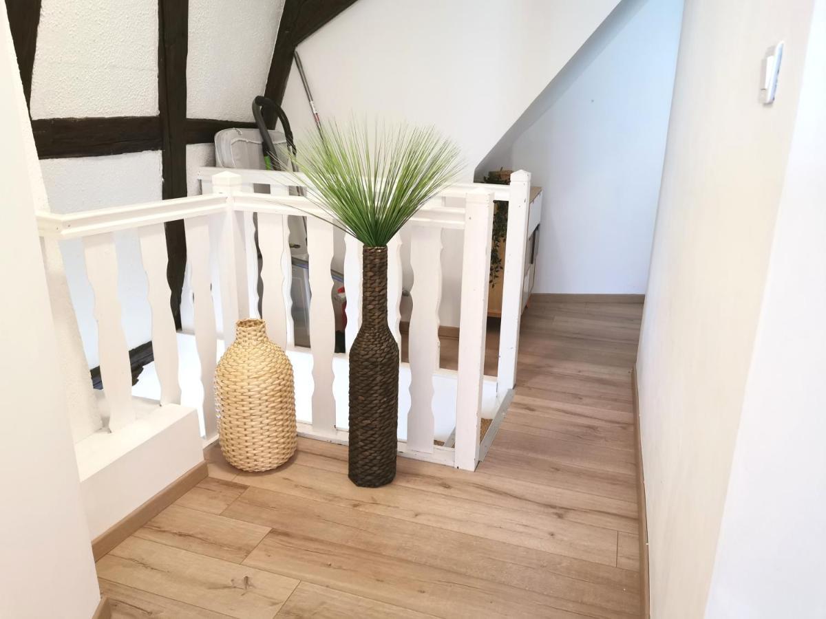 Petite Venise Grand Duplex Turenne Hyper Centre Colmar Exterior foto