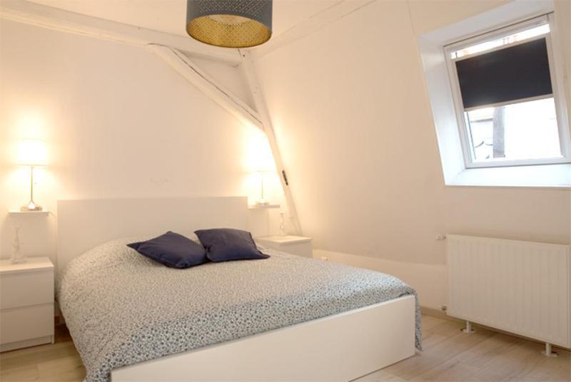 Petite Venise Grand Duplex Turenne Hyper Centre Colmar Exterior foto